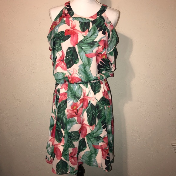 cato fashion plus size dresses